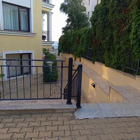 Daire Hrizantema Horizontm