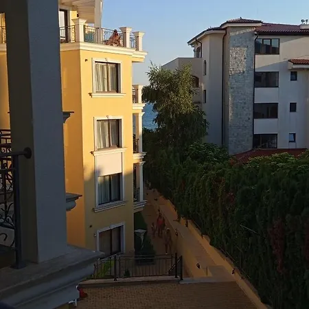 Hrizantema Horizontm * Sveti Vlas