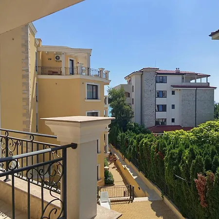 Hrizantema Horizontm Daire