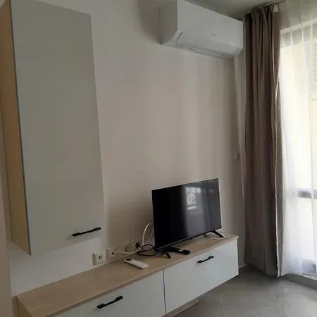 Hrizantema Horizontm Sweti Wlas